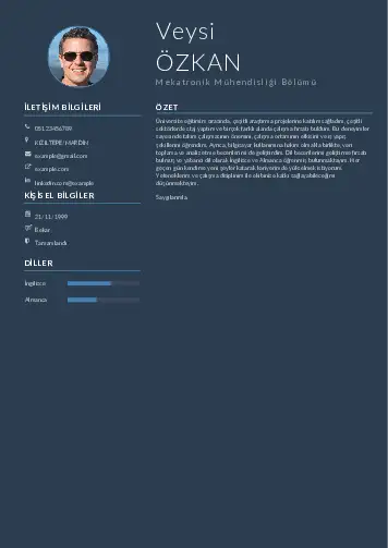 Mekatronik Mühendisliği Cv Örnekleri cv indir